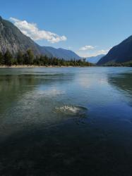 Отдых Горный Алтай