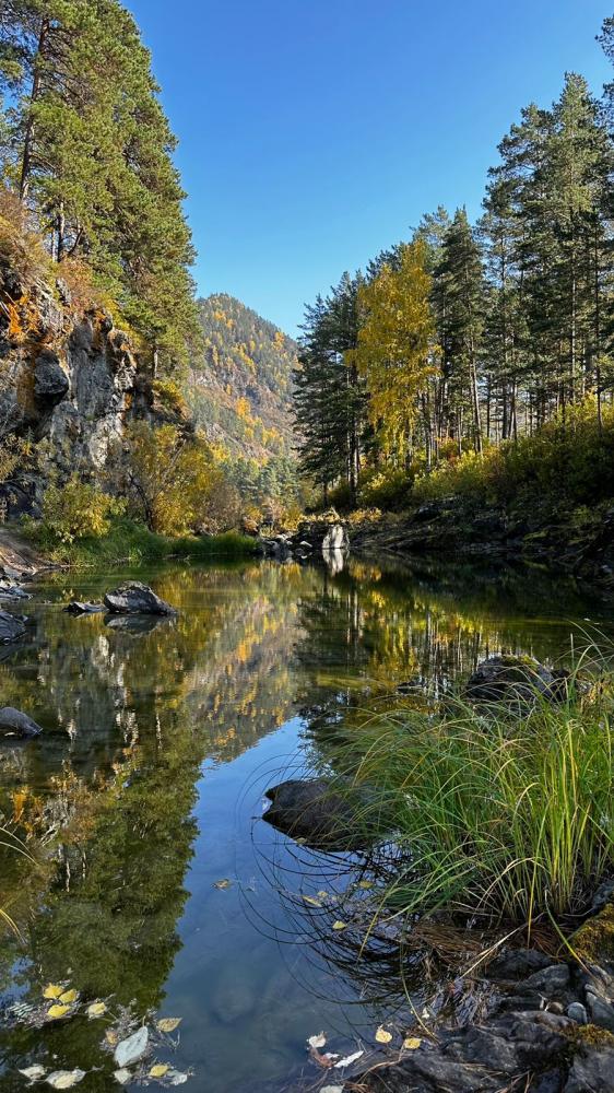Прогулки возле Усадьбы