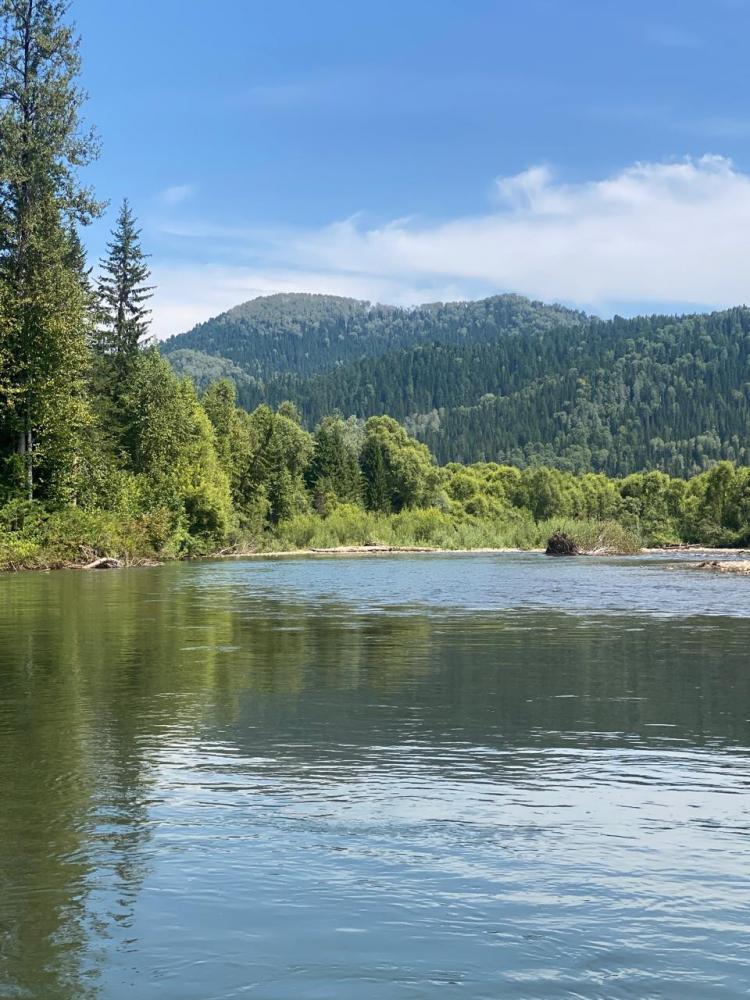 Экскурсия из Артыбаша сплав по реке Пыжа Горный Алтай