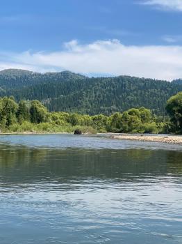 Сплав на Алтае река Пыжа