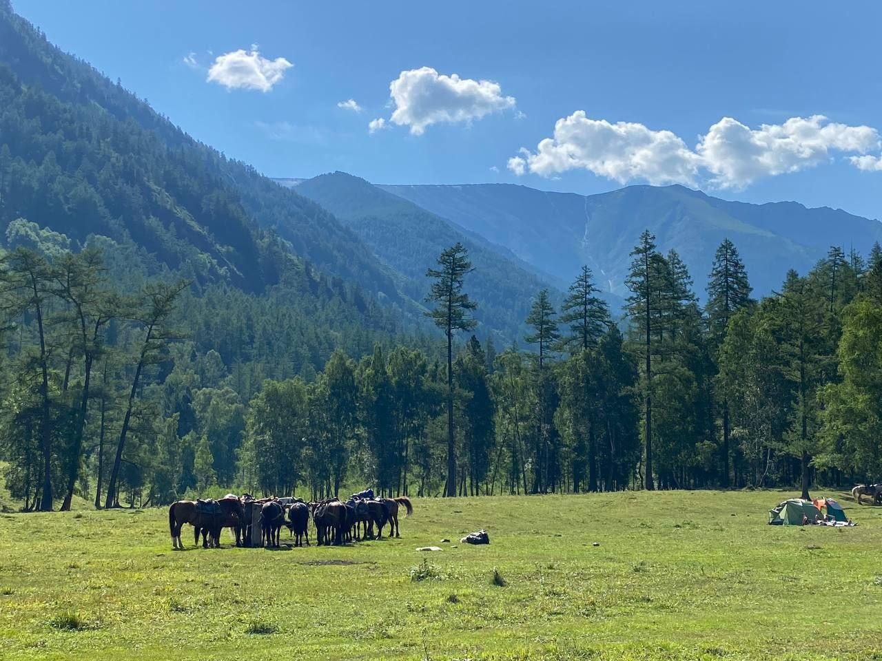 Конный тур к Белухе 2025