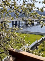 Вид на р. Бия из коттеджа