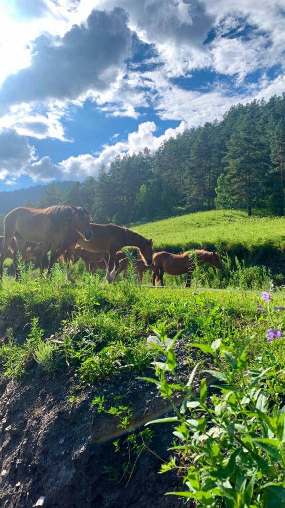 Виды рядом с усадьбой АртСвет