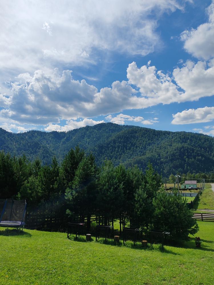 Усадьба АртСвет Алтай Мангальная зона