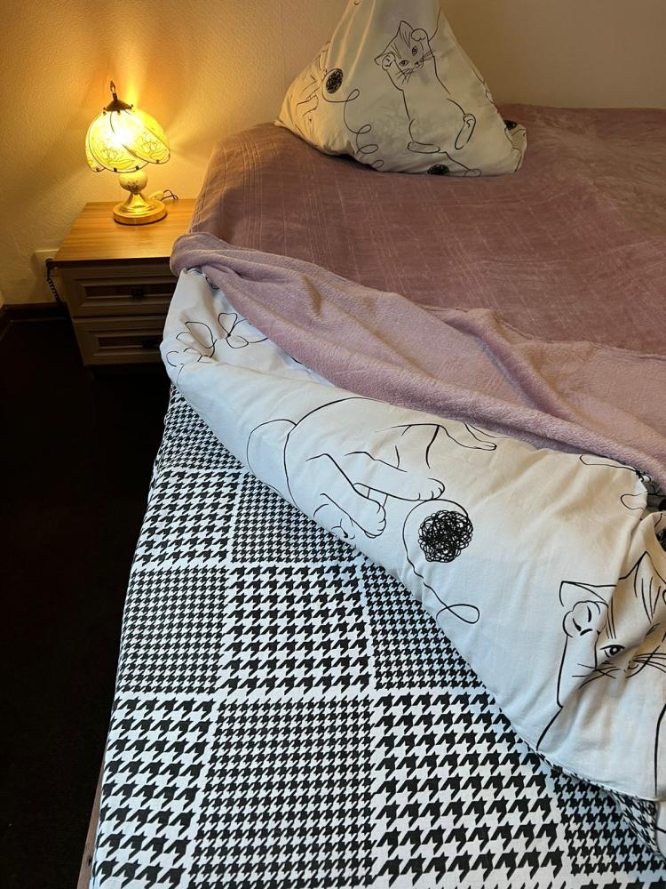 4-хместный 2-хкомнатный благоустроенный номер