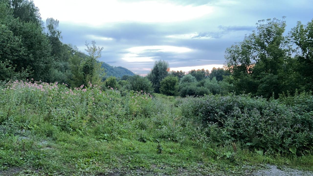 Лес и горы рядом с усадьбой