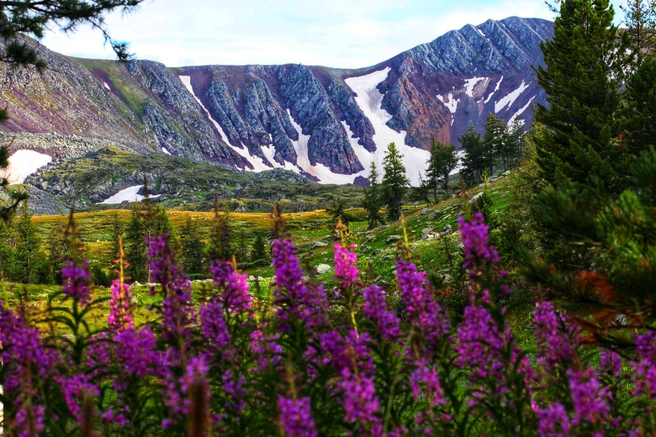 Хребет Холзун вид с рыболовной базы Алтая