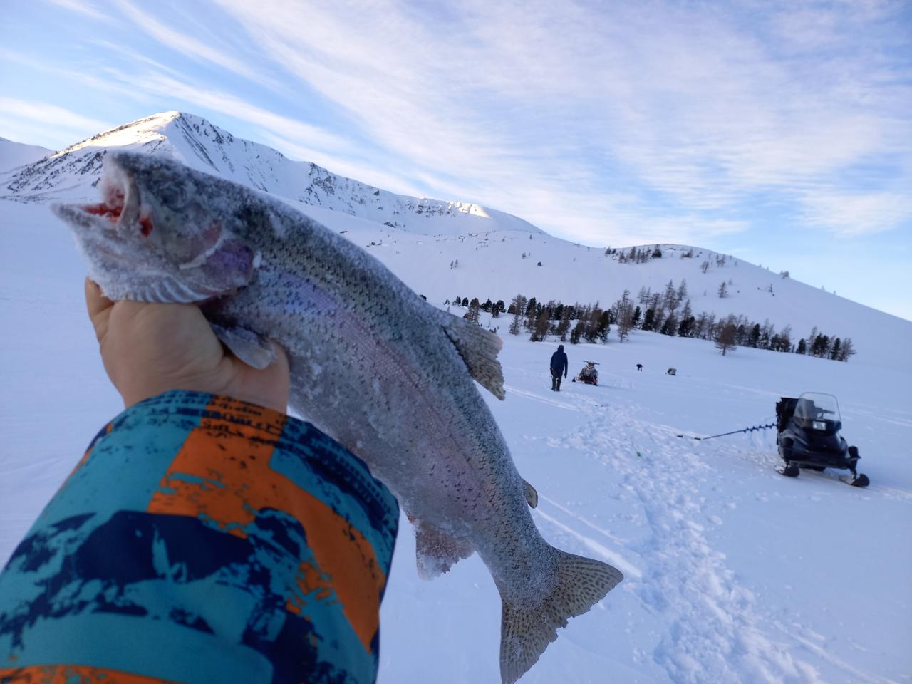 Зимняя рыбалка на форель на Алтае