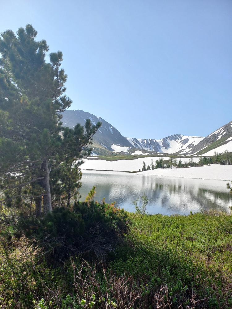 Рыбалка на форель в Горном Алтае на озерах Усть-Коксинского района