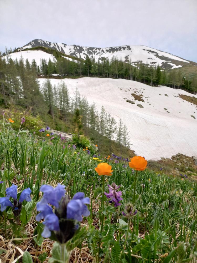 Отдых на высокогорных озерах Алтая в Усть-Коксинском районе