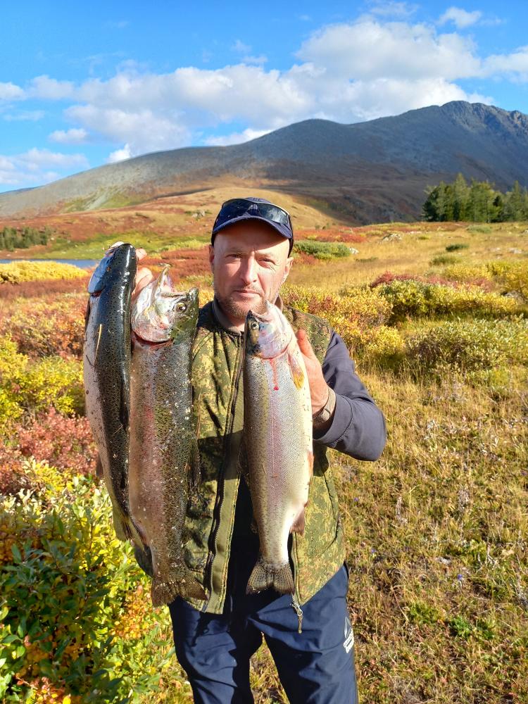 Улов форели на зарыбленном озере Алтая