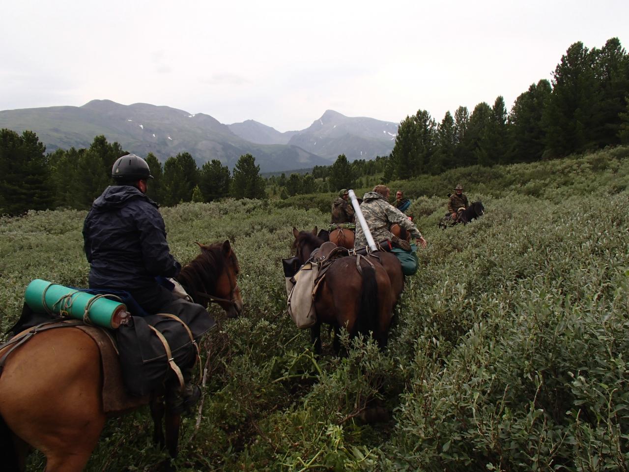 Конные прогулки к алтайским озерам