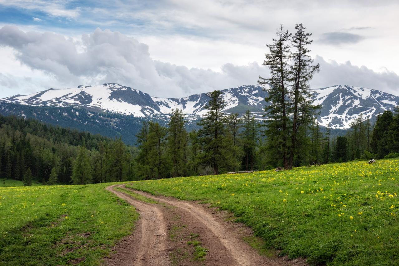 Дорога из лета в весну