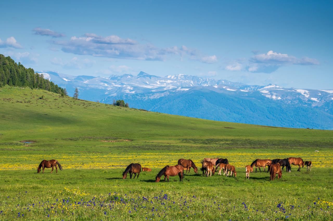 ПУТЕШЕСТВИЕ КАК ПЕРЕЗАГРУЗКА