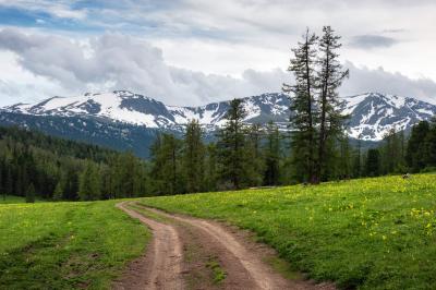 Дорога из лета в весну
