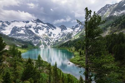 Зебра озера Поперечного