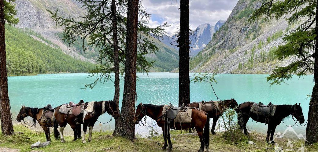 на берегу горного озера