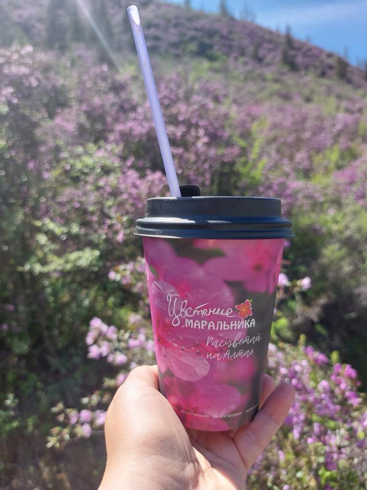 Цветение маральника