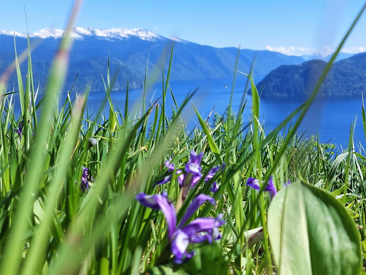 Вид на Телецкое