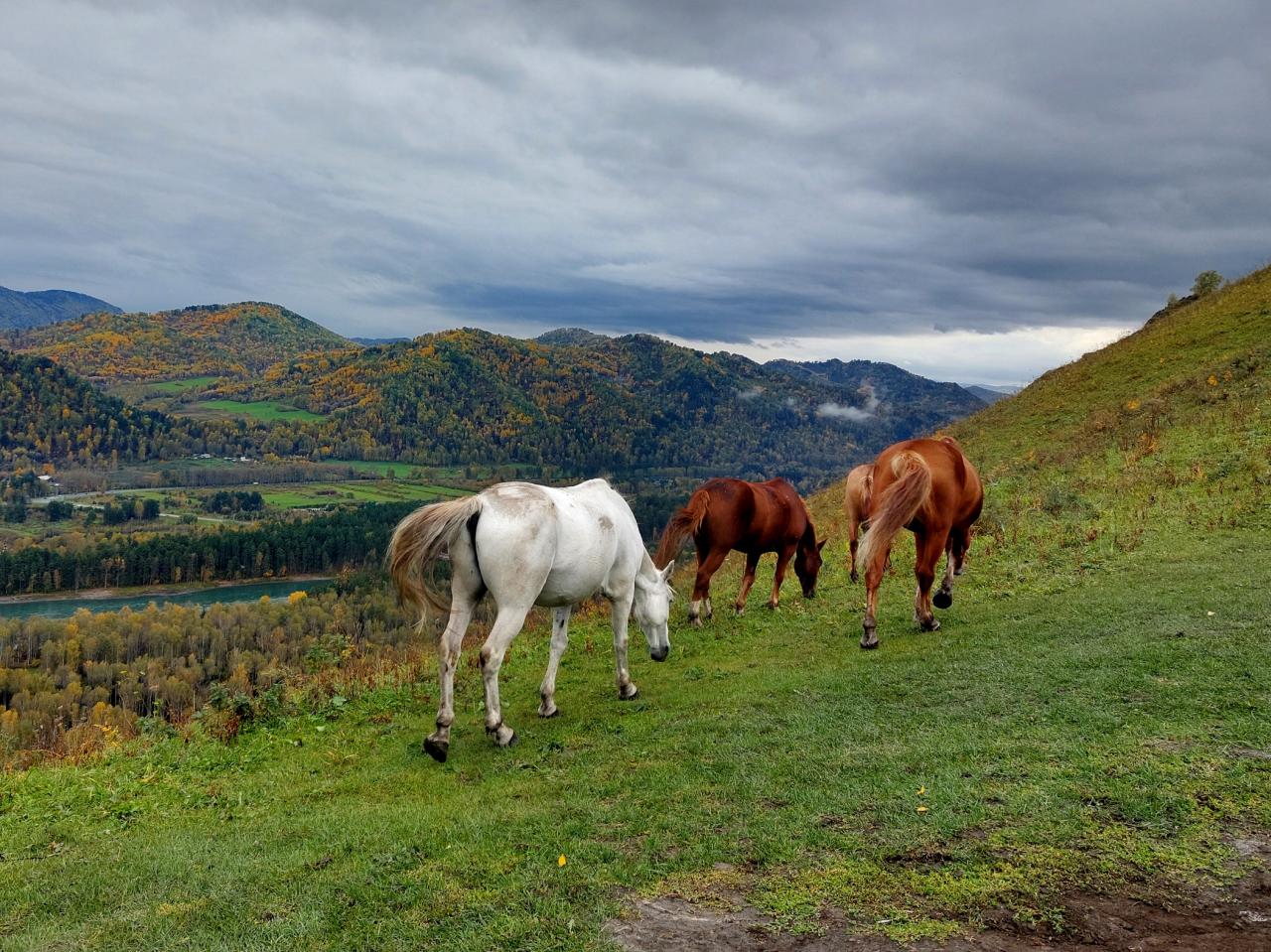 на горе Чертов палец