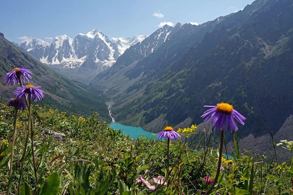 пейзаж Шавлинских