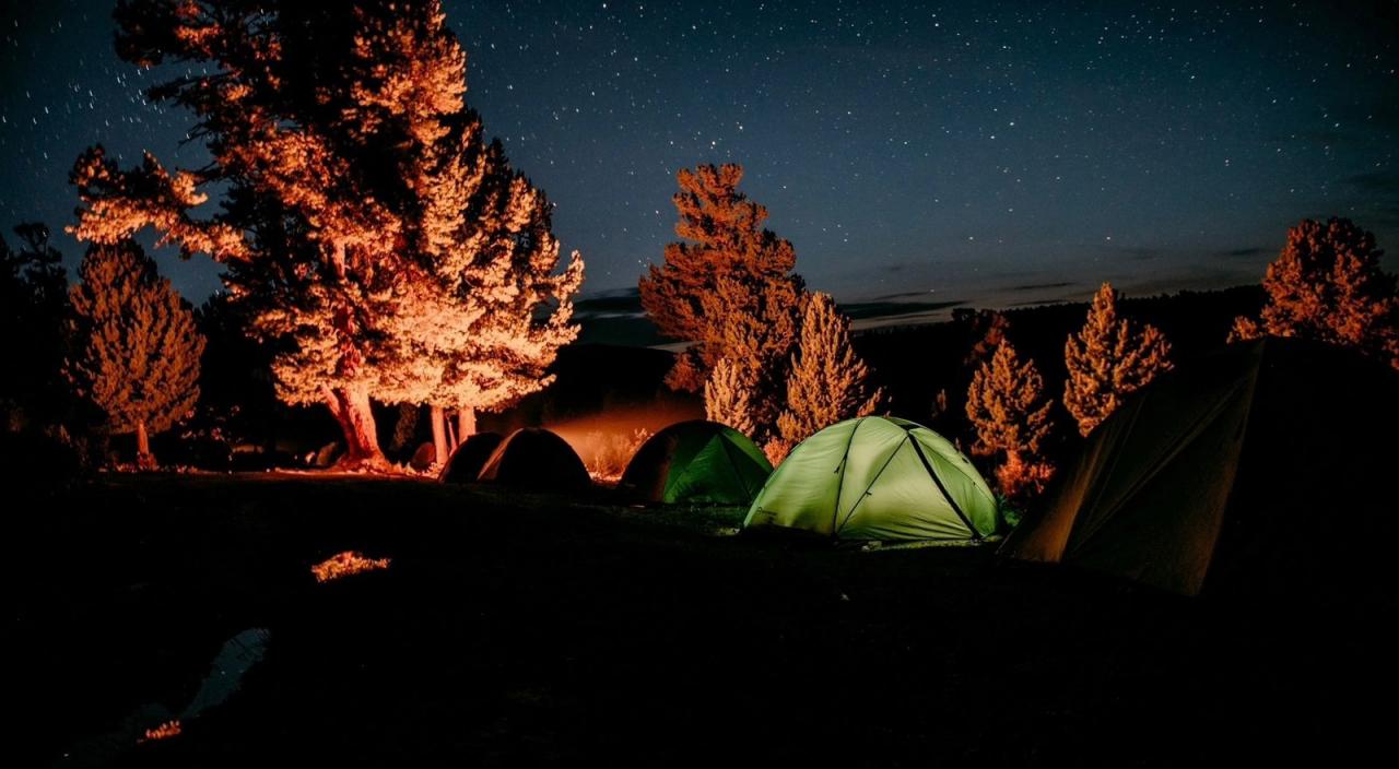 звездное небо Алтая