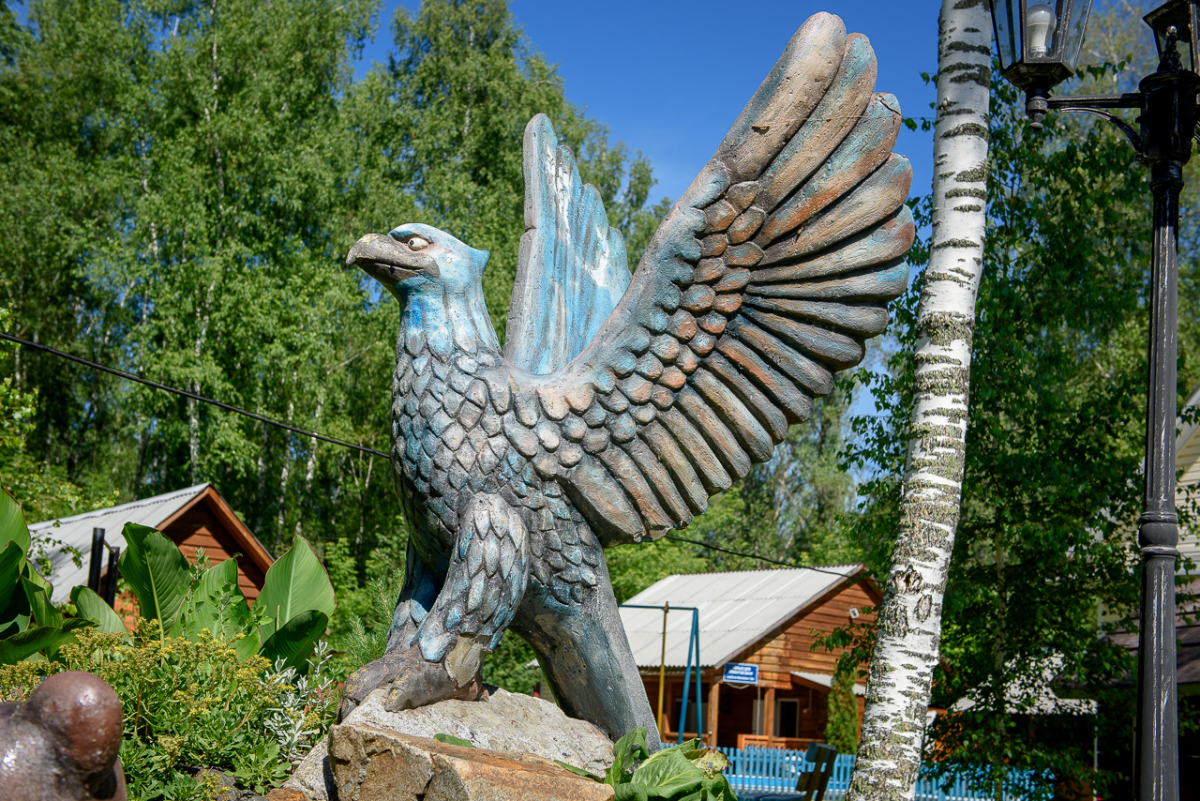 Территория