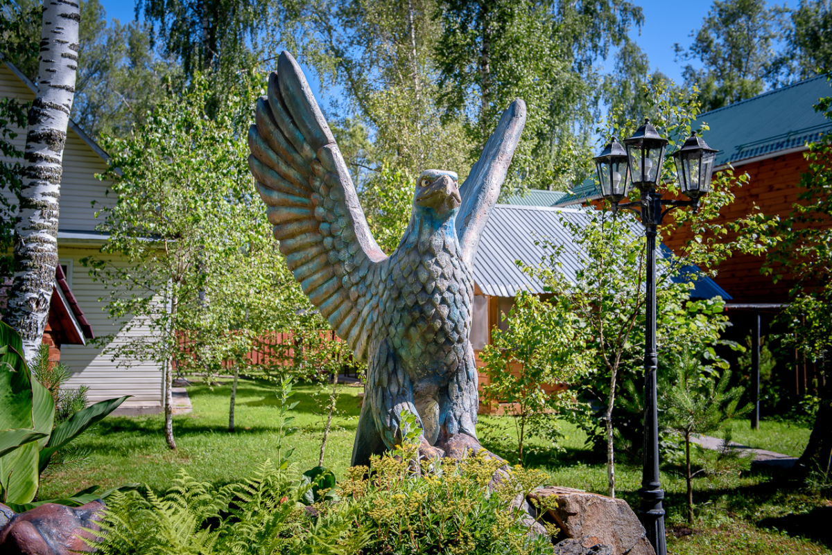 Территория