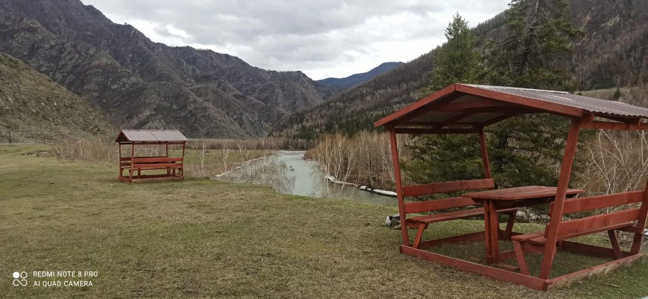 База отдыха "Алтай Иодро" у реки Чуя