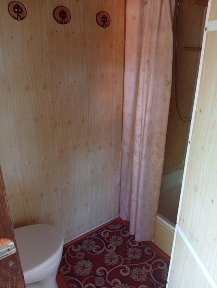 Санузел с душем в 2-местном доме