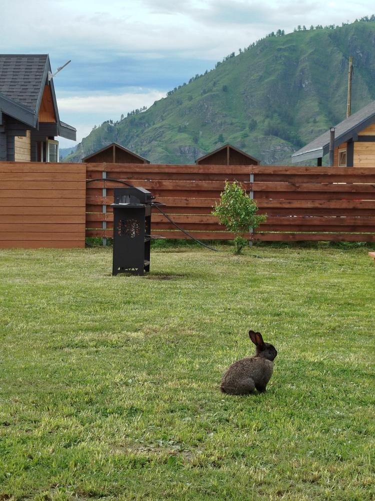 Алтай база отдыха "Рублевская поляна"