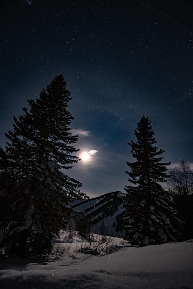 Таежная ночь!