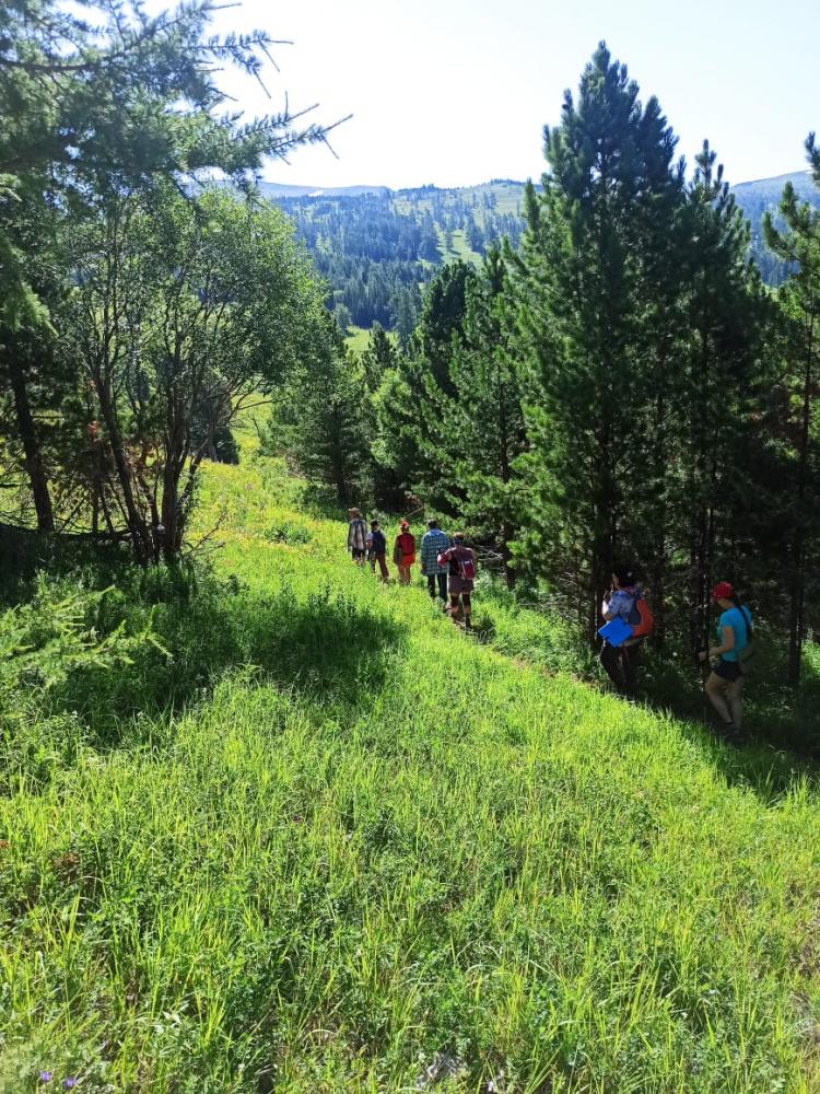 Экскурсия на пасеку  Красной горы Алтай Усть-Кокса