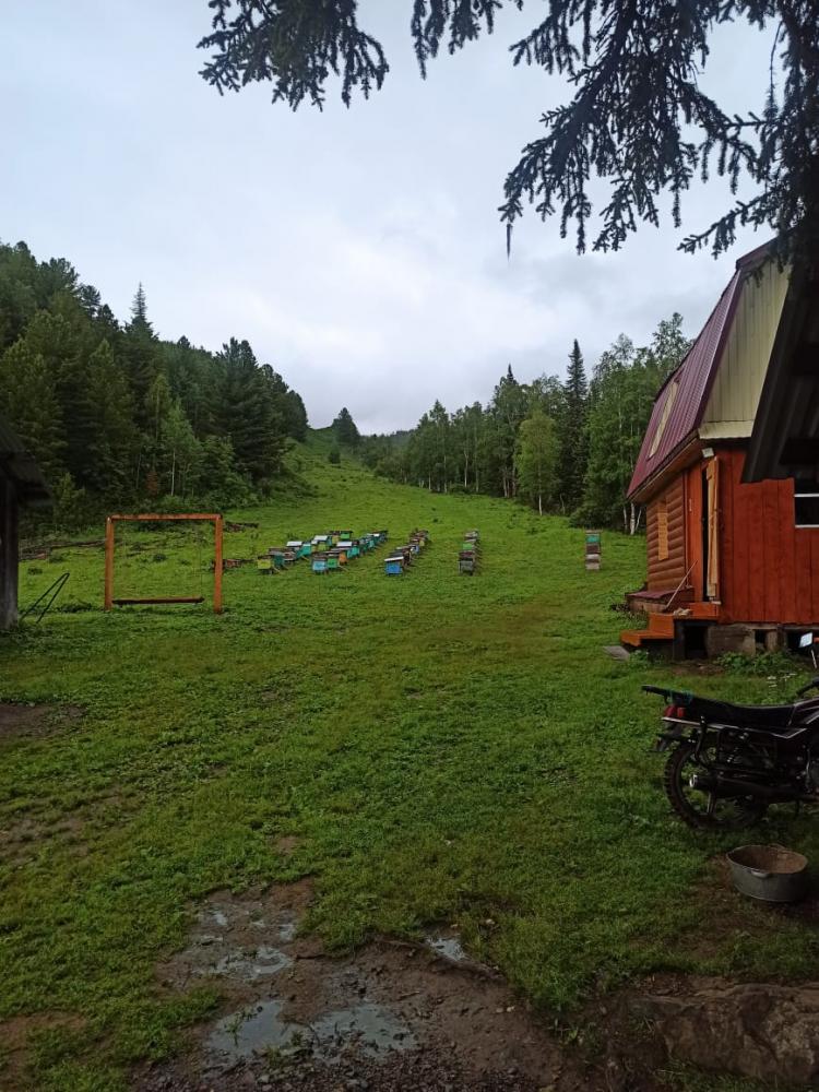 База отдыха "Гора Красная" Алтай Усть-Коксинский район