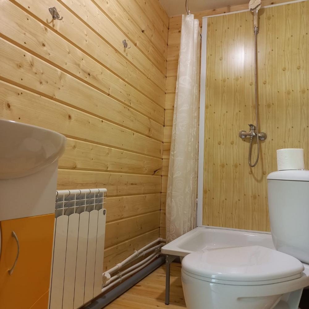 Дом у реки санузел и душ