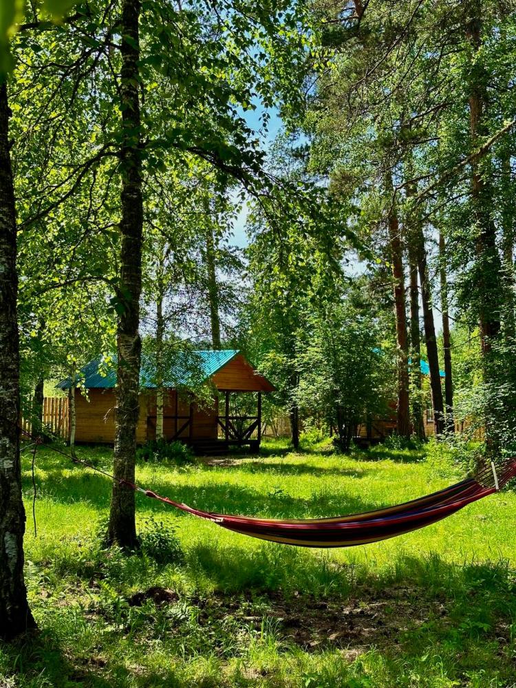 Гостевой дом "Сосновый рай" на Алтае село Тулой