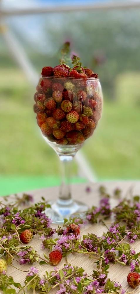 Глемпинг на Алтае "Телец 04" Чибит Акташ