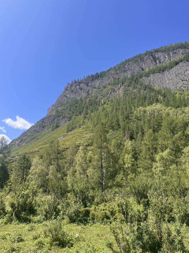 Окрестности Чибита