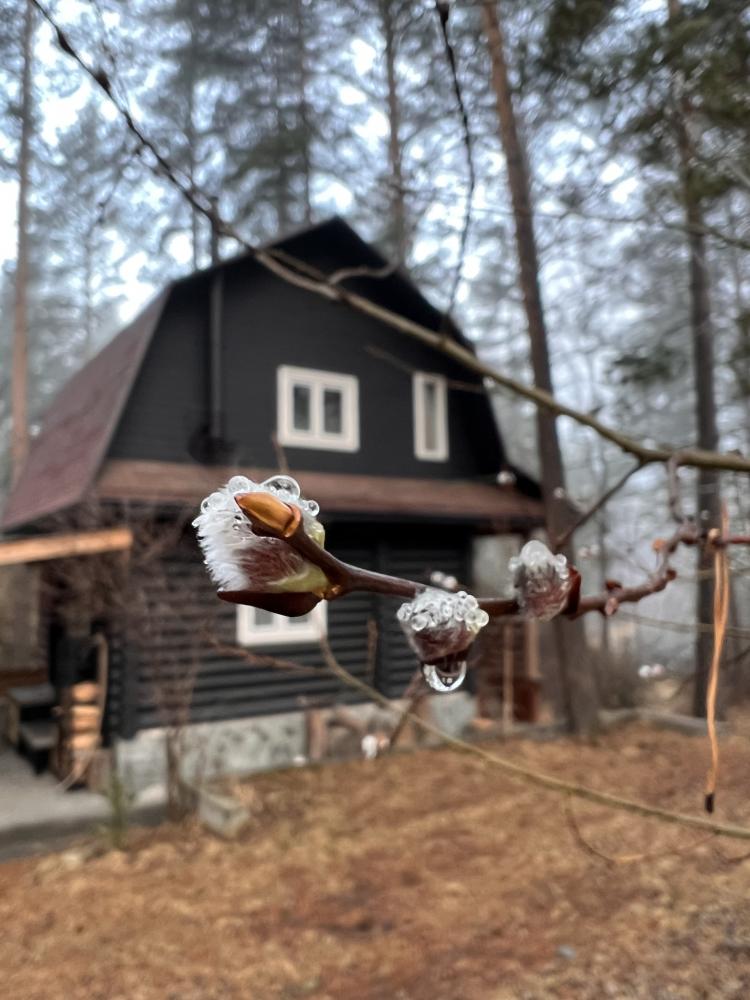 Дом снаружи