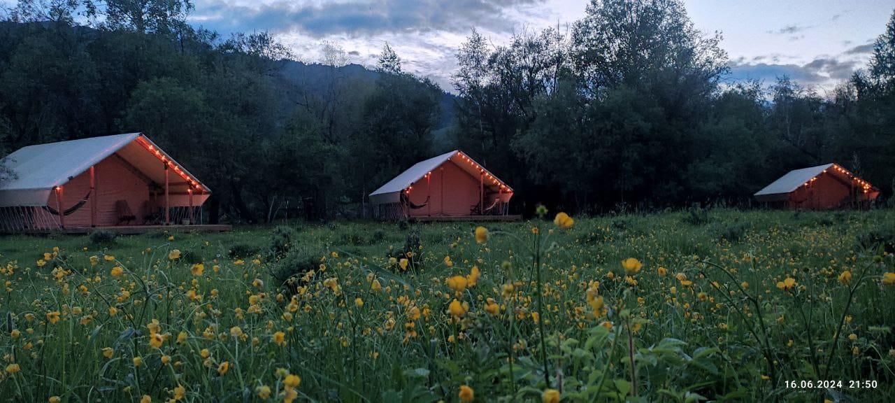 Глэмпинг "Агаш" в Республике Алтай в Онгудайском районе