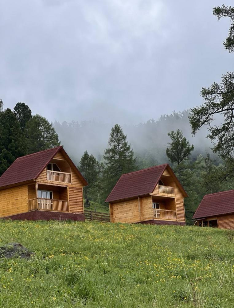 Маральник Уч-Сумер Алтай Онгудайский район