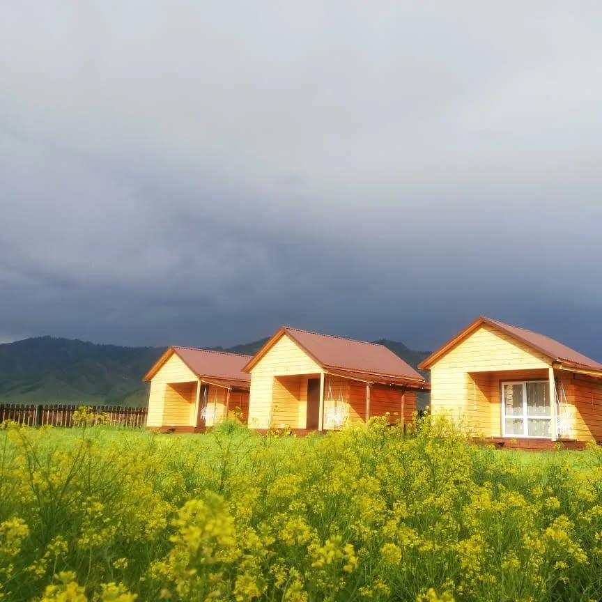 База отдыха "АрТан" Горный Алтай село Курота