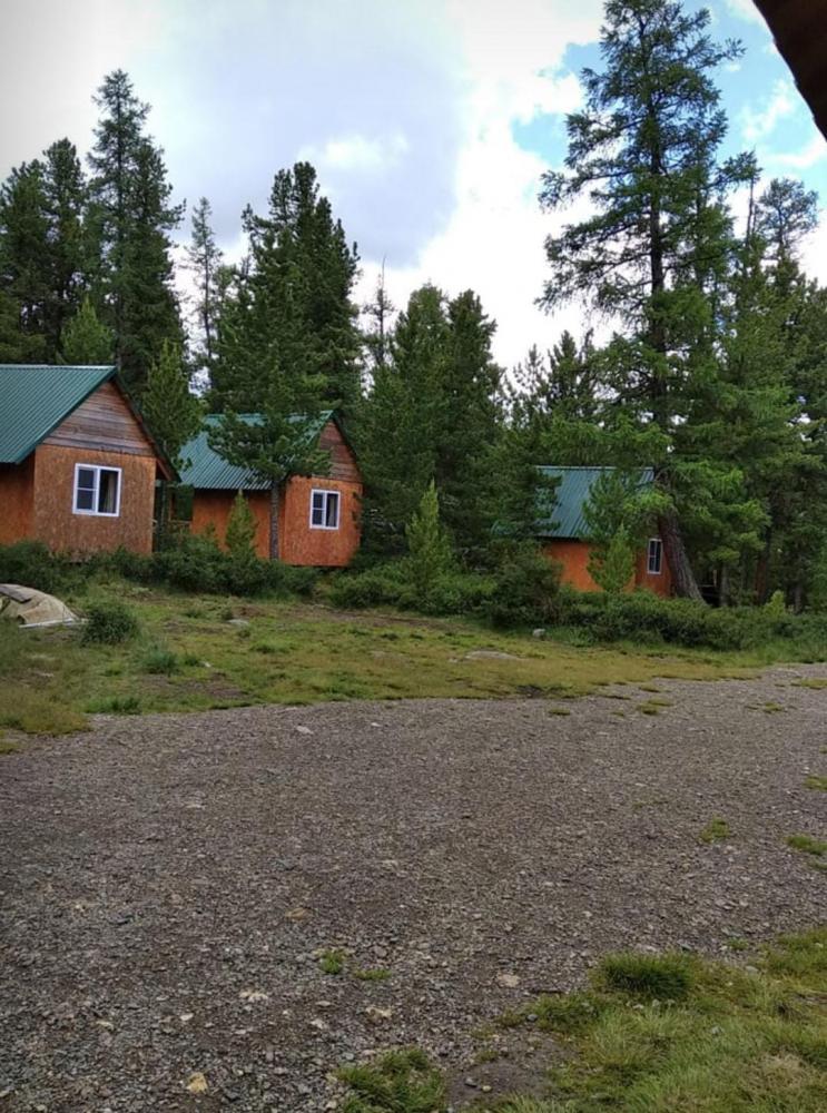 Домики на территории