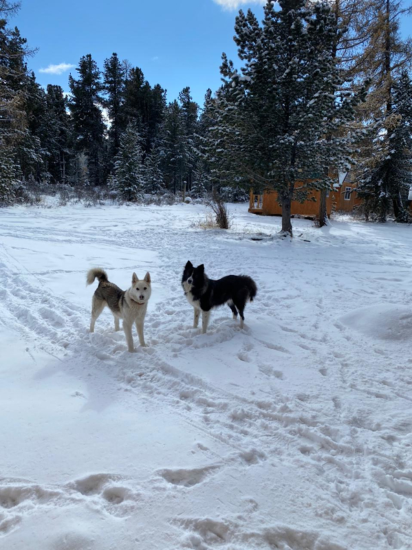 Около озера Игисту Кёль, рядом с Улаганским перевалом