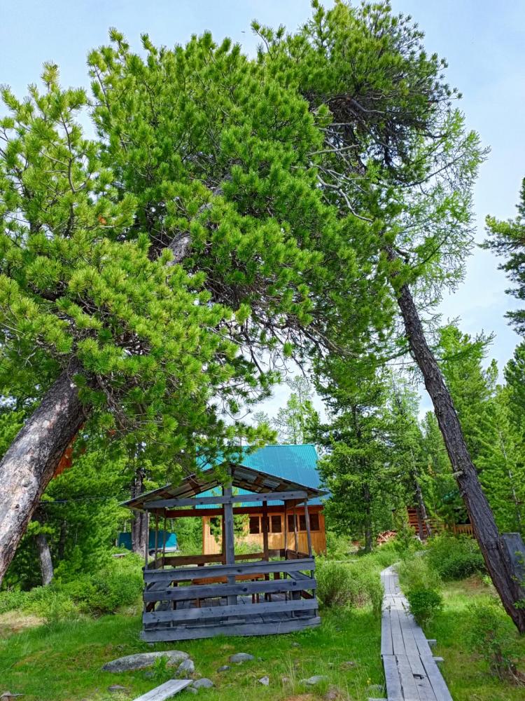 Территория базы