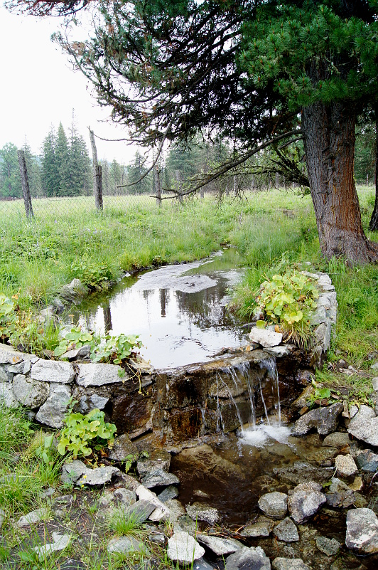 Ручеек на базе