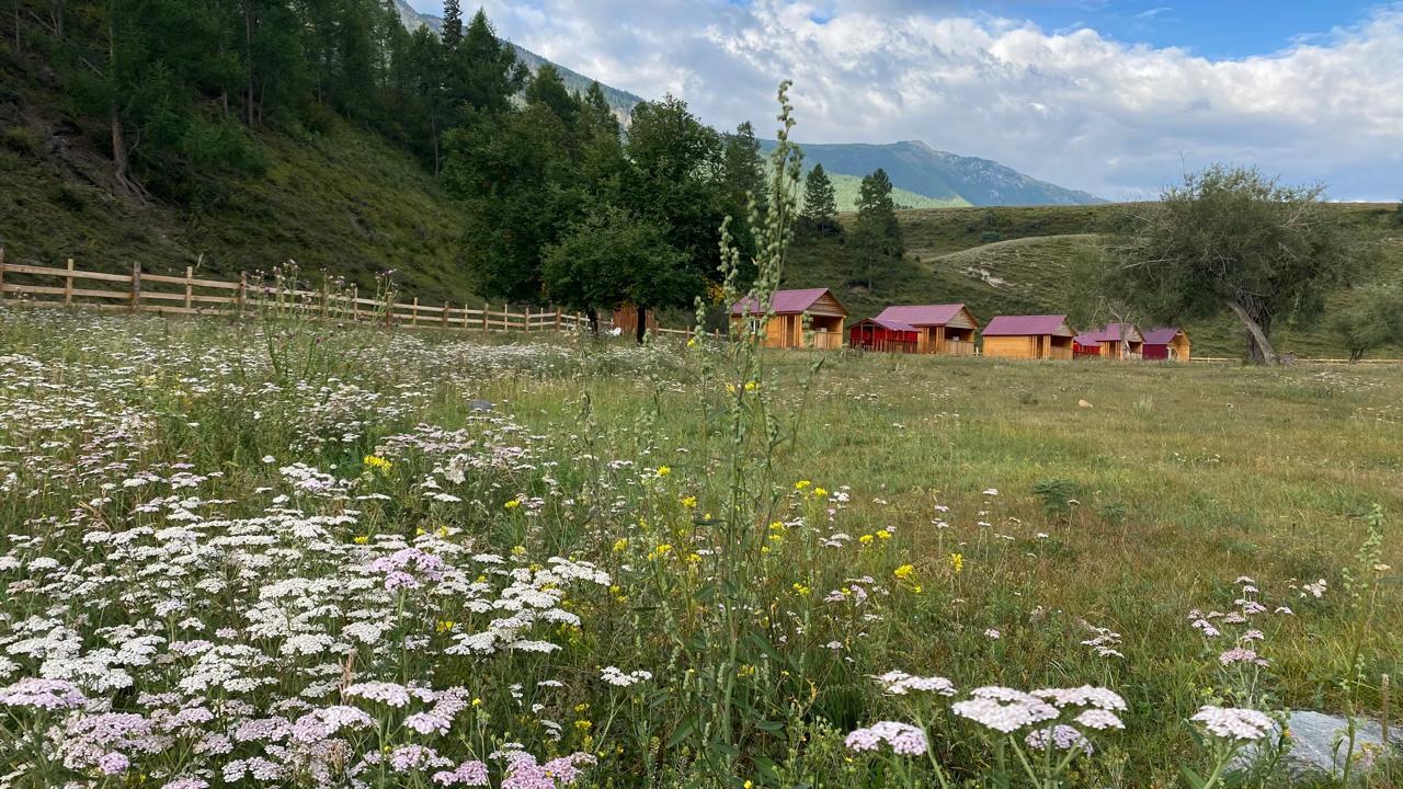База отдыха "Спирит Техас" возле Чибита и Акташа в Горном Алтае
