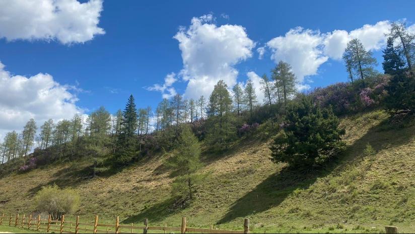 Окрестности Чибита