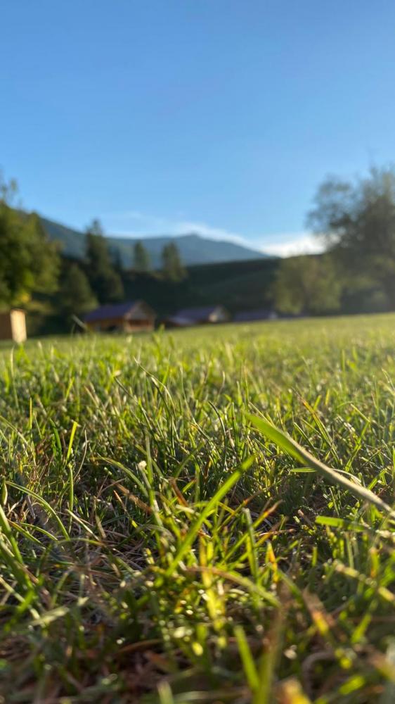 База отдыха "Спирит Техас" возле Чибита и Акташа в Горном Алтае