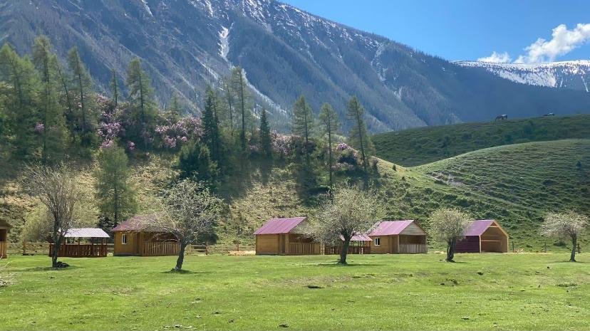 База отдыха "Спирит Техас" в Чибите Республика Алтай